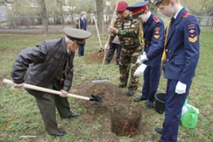 Кадетам в Чебоксарах растет Аллея Победы