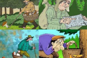 Чага заставит по лесу плутать и молодчагу 