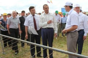  Разбазаривание Новое Чурашево изобличили