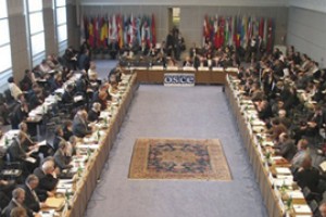 Дан в Украину на год мандат