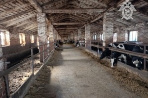 Гибель на ферме в Чурачики передали суду