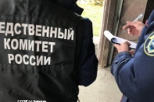 Дом Второй Путепроводной подожгли малыши