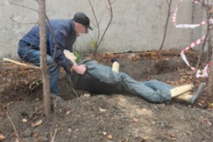 Приятеля в палисаде передали суду Канаша