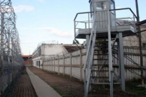 В девятке служил наполнитель матрасов