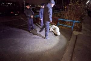 Починковского нижегородца кинули в СИЗО