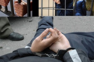 Плута Тольятти и поджигателя дач поймали