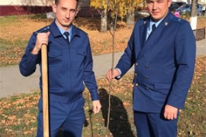 Начальство прокуратуры Чувашии и СКР слушает граждан