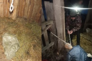 Убийц закупщика в Элекейкино арестовали