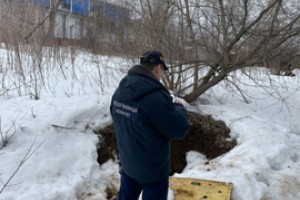 Убийцу гостя осудили, женщины - поймали