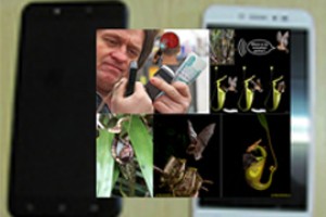 Ученые рассказали о пользе и вреде сигналов 