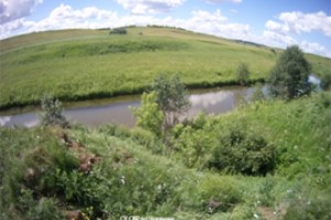 СКР Чувашии расследует массовую гибель рыбы в Рыкше