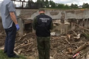 Тобурдановского расчленителя схватили