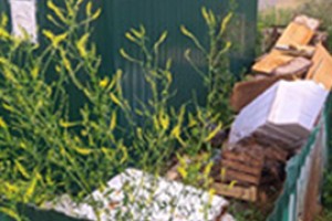 Гнилье в Ибреси Экологии Канаша наказали