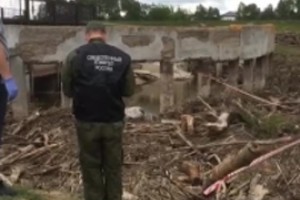 Тобурдановский расчленитель отсидит 9 особых лет 