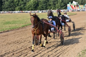 У скачка ЖКХ развлекаются скачками коней