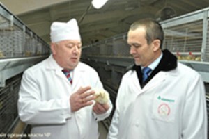 Вышли выборы и Вадим Николаев в сенаторы