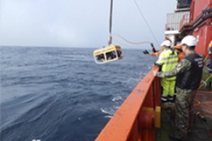 Следствие по Охотскому морю завершили