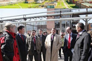 Оргсинтез прояснил упадничество Химпрома