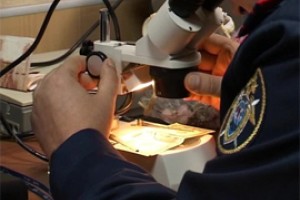 Экспертов и криминалистов ввел 1803 год 