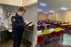 Школу Новочебоксарска подкосила болезнь
