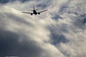 Под Эль-Аришем разбились 224 граждан РФ