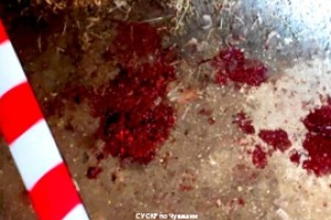 Чебоксарского убивца матери за 500 рублей отдали в суд