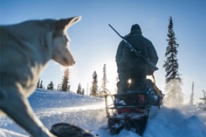 Выстрел в шофера вышел охотнику Чебоксар в 50 тысяч