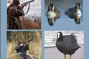 Выстрел смерти в Верхнем Аккозино отработает за год 