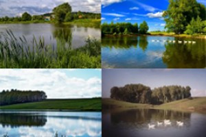 СКР разбирается в гибели пловца в пруду Мурзакасы