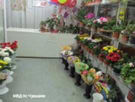 Cvetochnyj magazin otkuda pohitili buket