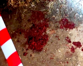 Na meste krovavyh sobytij