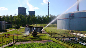 11954788 481585295351573 7114147241329509151 n