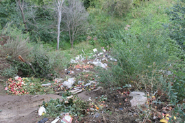 Chuvaschskie narodofrontovzi pochujali zapah nesankzionirovannih svalok v stolize Chuvaschii3