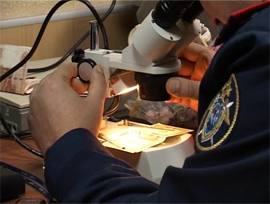 Eksperty i kriminalisty v sledstvie prishli eshche po ukazu 1803 goda