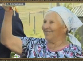 Syuzhet pro mihaila ignateva iz saltykov shchedrin6