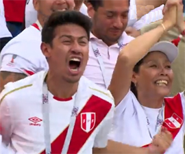 Franciya ne nakazala datchan za strausinyj futbol3