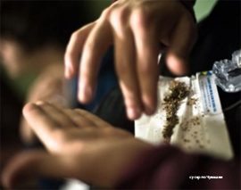 Delo o prodazhe spajsa