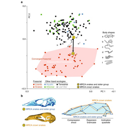 Kogda parsimoniya perekhodit v antimoniyu4