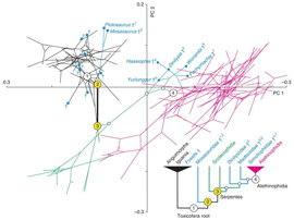 Kogda parsimoniya perekhodit v antimoniyu5