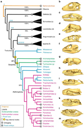 Kogda parsimoniya perekhodit v antimoniyu7