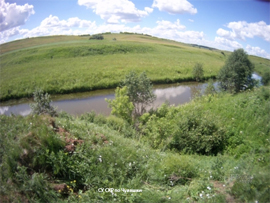 SU SKR po CHuvashii rassleduet massovuyu gibel ryby v Rykshe