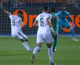 Alzhirskij top spin4