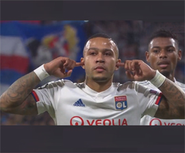 Lion okazalsya ne tak strashen12