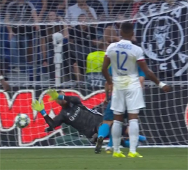 Lion okazalsya ne tak strashen3