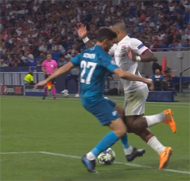 Lion okazalsya ne tak strashen6