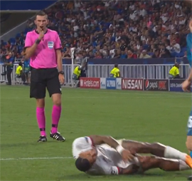 Lion okazalsya ne tak strashen7