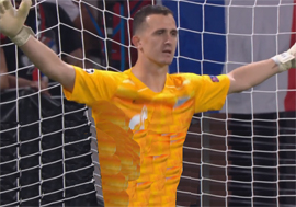 Lion okazalsya ne tak strashen8