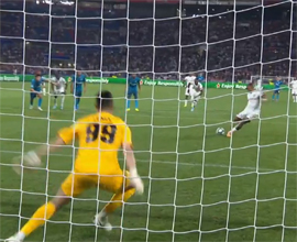 Lion okazalsya ne tak strashen9