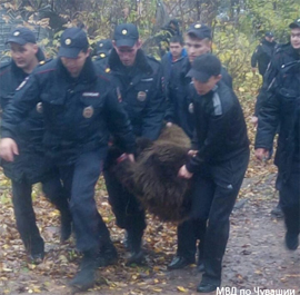 Vremya bluzhdaniya po Cheboksaram medvedya