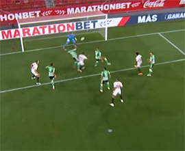 Yuzhnoamerikancy podcherknuli pobednuyu rol poluzashchity3